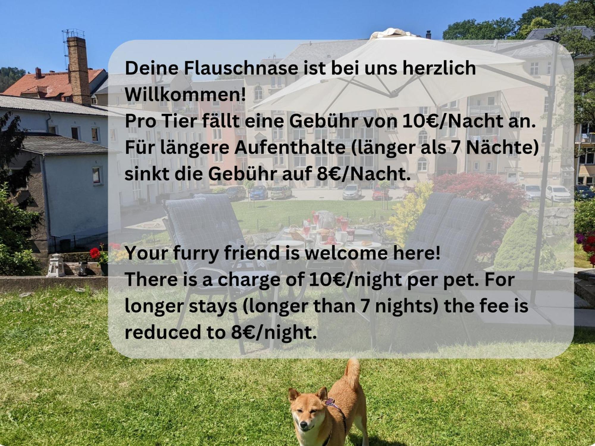 Zi1 - Urlaubsmagie - Erholung Mit Whirlpool & Sauna Sebnitz Eksteriør billede